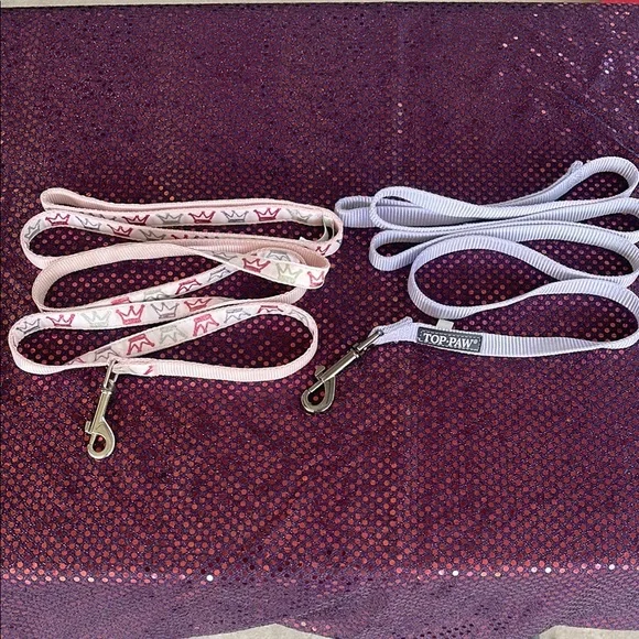 Top Paw Dog Leash Set - Pink and Purple