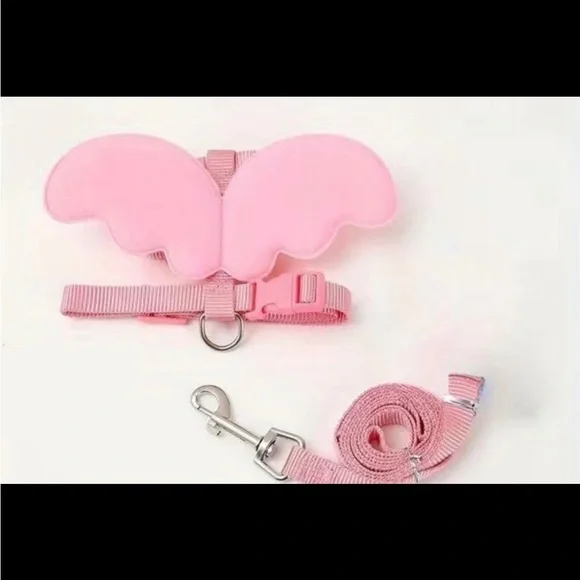 Pet harness and leash