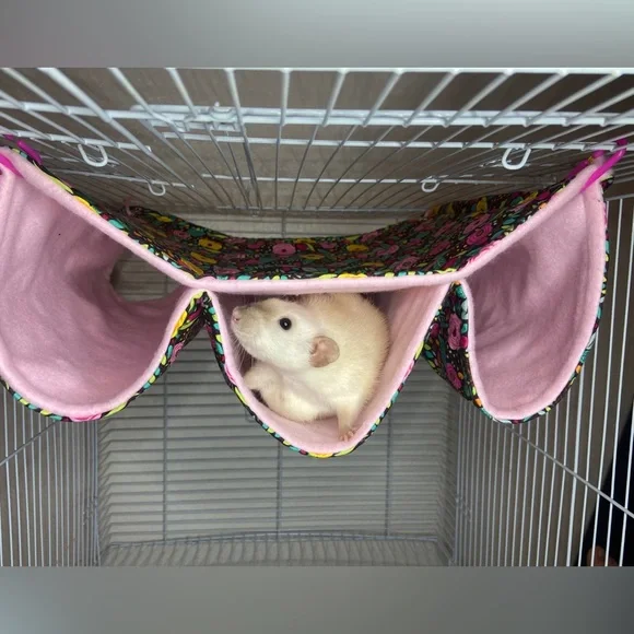 Custom Triple Tunnel Hammock for small pets