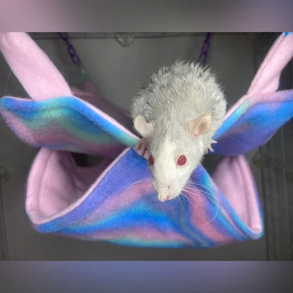 Bunk Bed Hammock for small pets