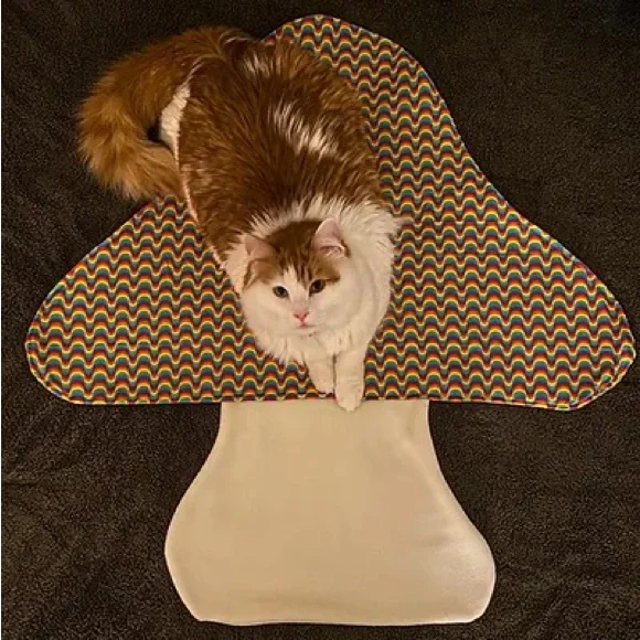 Custom Mushroom Rug