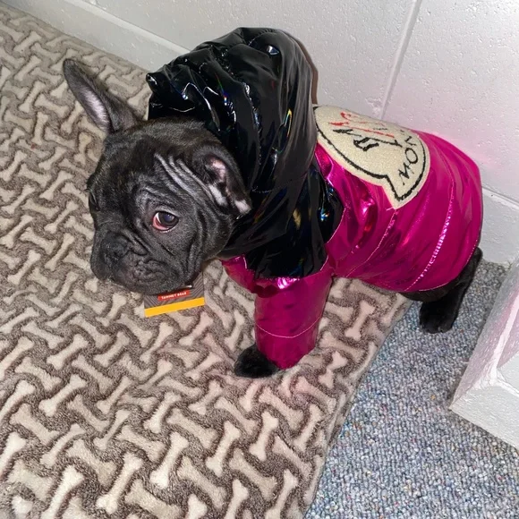 Doggy Malibu Coat