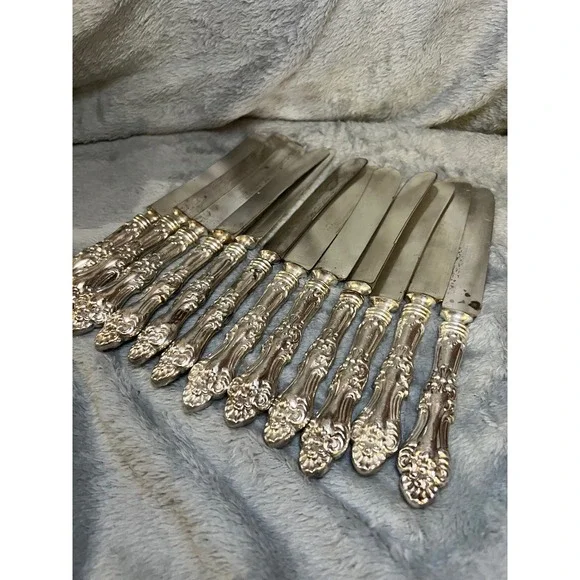 Wm A Rogers‎ Silverplate Dinner Knives Set of 14 Ornate Floral Vintage 1940s-50s