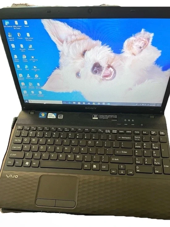 Sony VAIO PCG-71912L15.5
