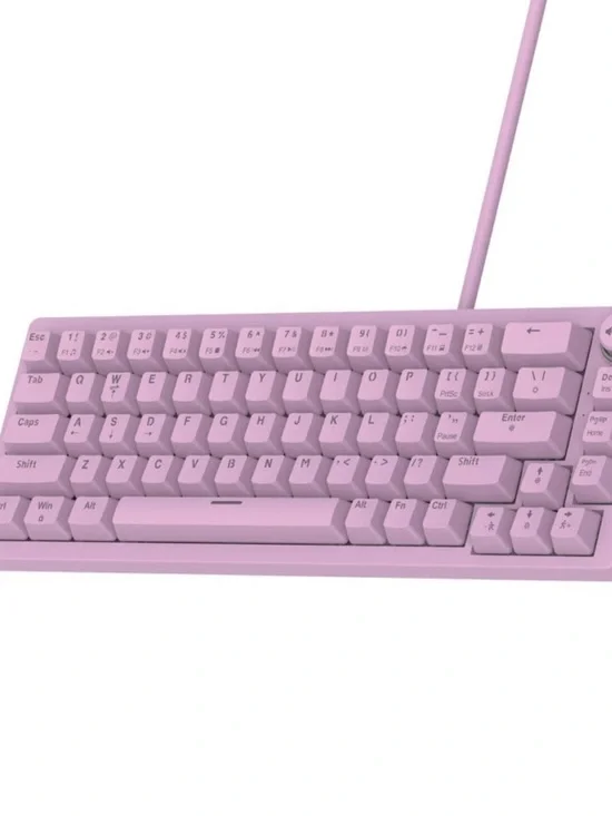 Compact 65% Wired Mechanical Keyboard — Pink