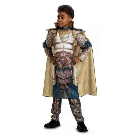 Dungeons & Dragons Xenk The Paladin Deluxe Muscle Child Costume‎ Boys Sz Med (8)