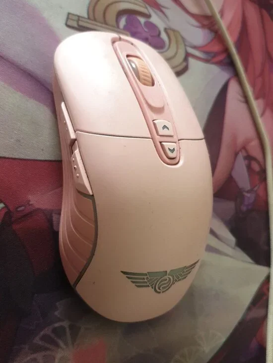 Mouse Gamming