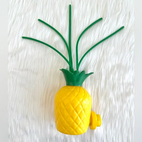 PINEAPPLE WATER TOY