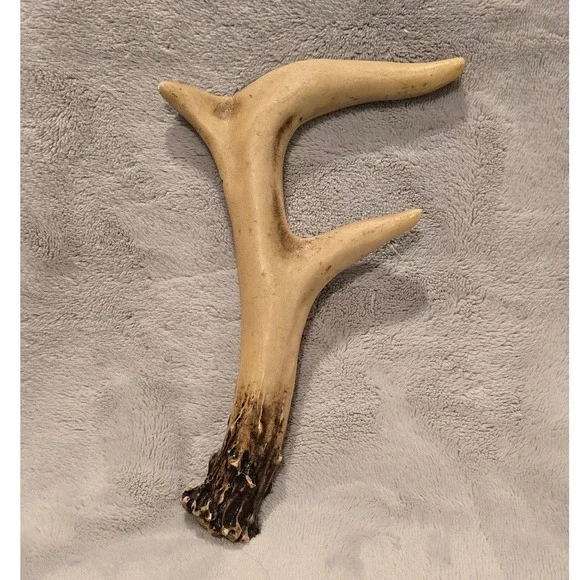 Faux Antler Letter F Wall Decor Rustic‎ Cabin Lodge Resin Horn Accent 7.75 Inch