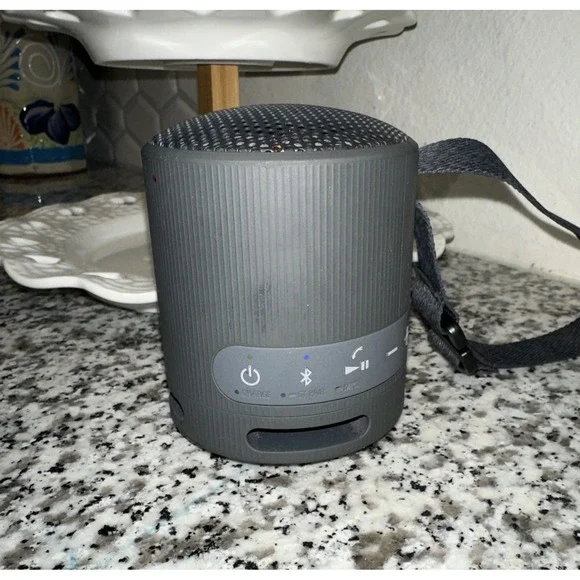 Sony SRS-XB100 Portable Bluetooth Wireless Speaker Gray YY7856E