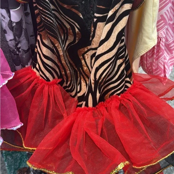 Zebra Print Kids dance dress with Red Tutu dance costume