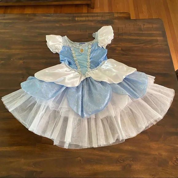 Disney Cinderella Costume