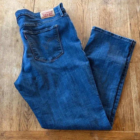 Levi Strauss Blue Denim Jeans
