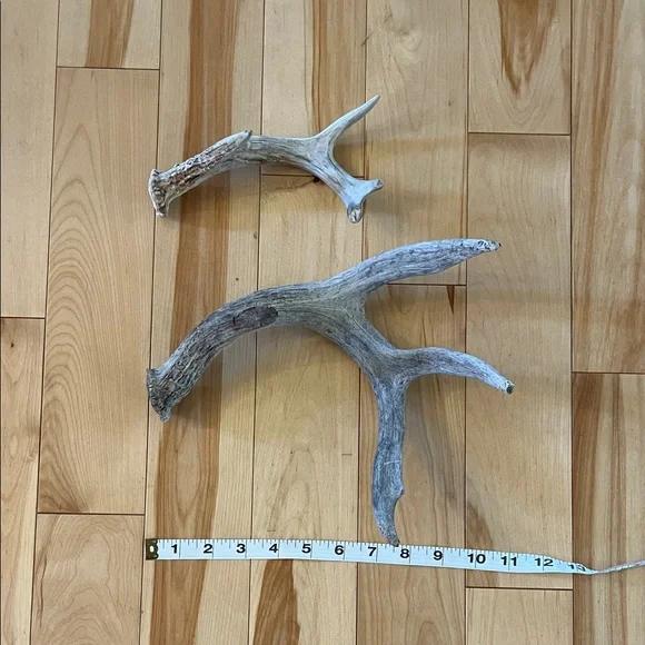 Rustic Antler tray Decor