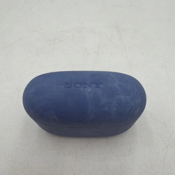 Sony LinkBuds S WF-LS900N Noise Canceling Wireless Earbuds Earth Blue Case Only