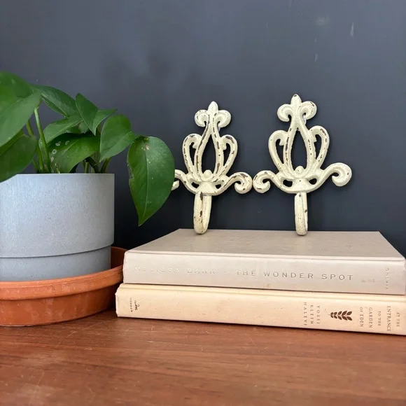 Elegant Cream Cast Iron Wall Hooks