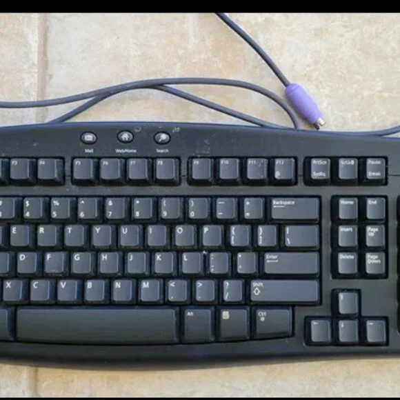 Microsoft PS/2 Keyboard