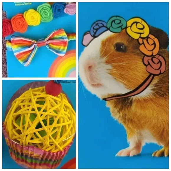 Pride Themed Small Animal Accessories & Cupcake Shaped Chew Toy