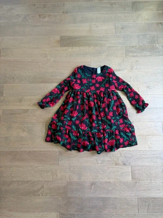 Carter's Black Dress with Red Floral Print and Green Leaves