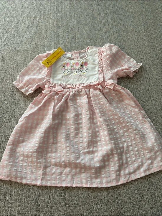 NWT Pink Embroidered Seersucker Dress w “Birthday Girl”. Size 2/3