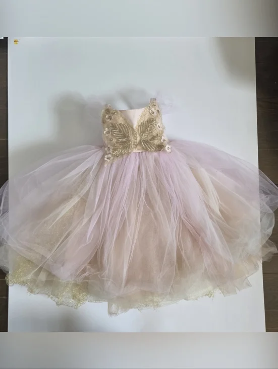 Pottery Barn butterfly fairy costume gold pink tulle size 3T