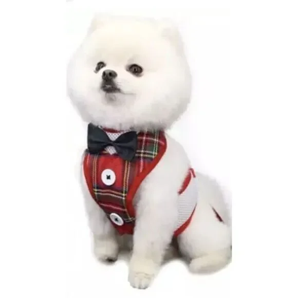 Small Dog Cat vest Breathable Mesh‎ Harness Collar soft chest strap L Leash set