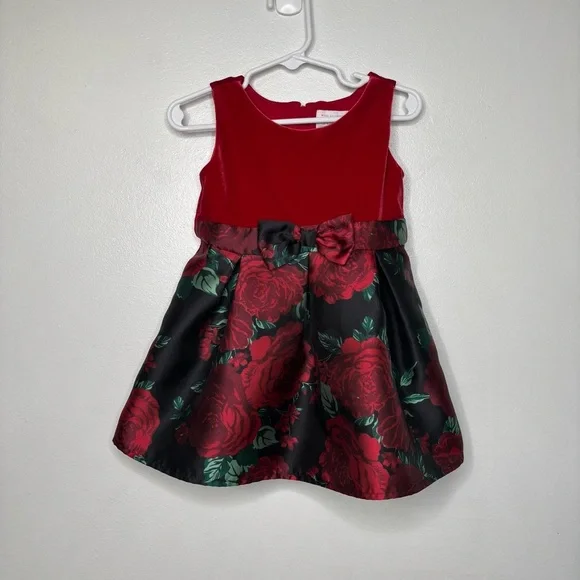 The Children’s Place Red Velvet Rose Dress Girls 2T