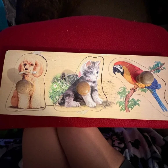 Colorful Wooden Pet Puzzle for Small Animals