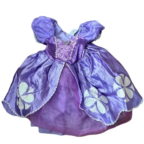 Disney Store Sofia the First Dress Sz 2 Purple Kids Girls Halloween Bippity