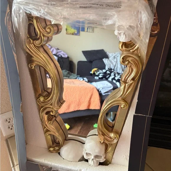 Christian Soriano Coffin Skull Wall Mirror