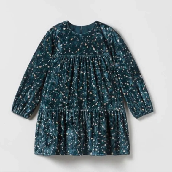 Zara Green Floral Velvet Dress kids 18-24M