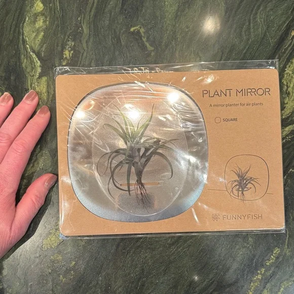 Square - Mirror Planter For Air Plants