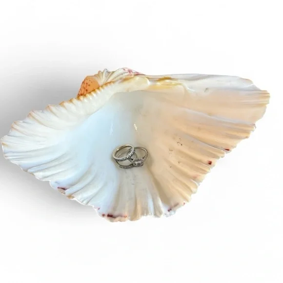 Vintage Large Bear Paw Clam Shell