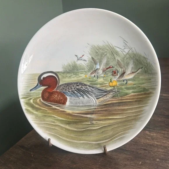 Vintage JKW Western Germany John Gould Garganey Duck Porcelain Decorative Plate
