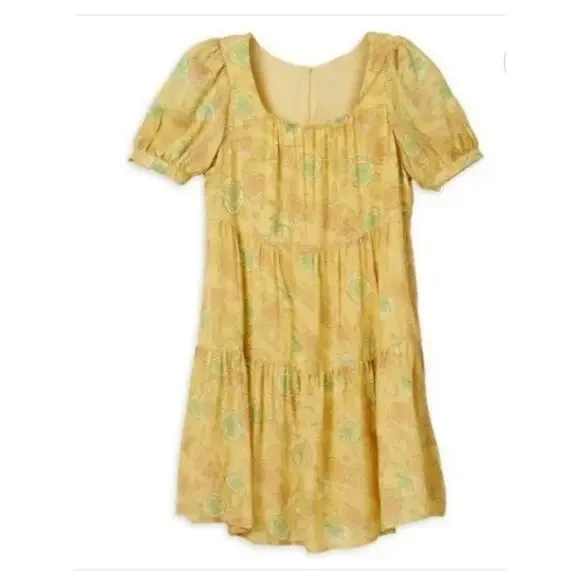 2022 Disney Parks Cinderella Floral Roses Mini Dress For Girls Size Medium
