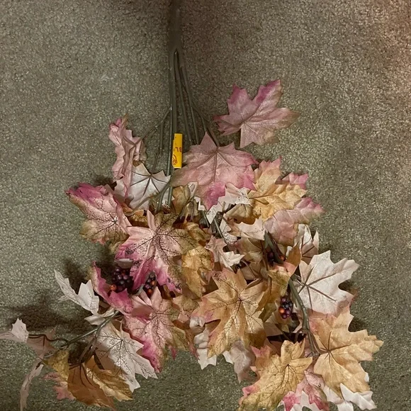 Fall Bushes