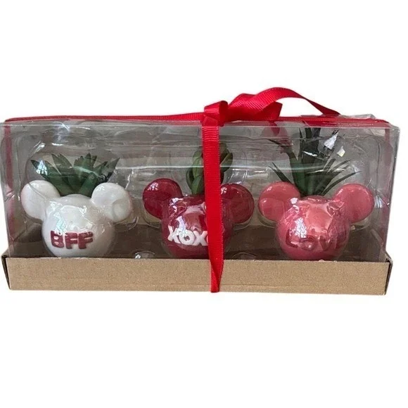 Celebrate Together Valentines Day Set of Three Mickey Mouse Planters w/Succulent