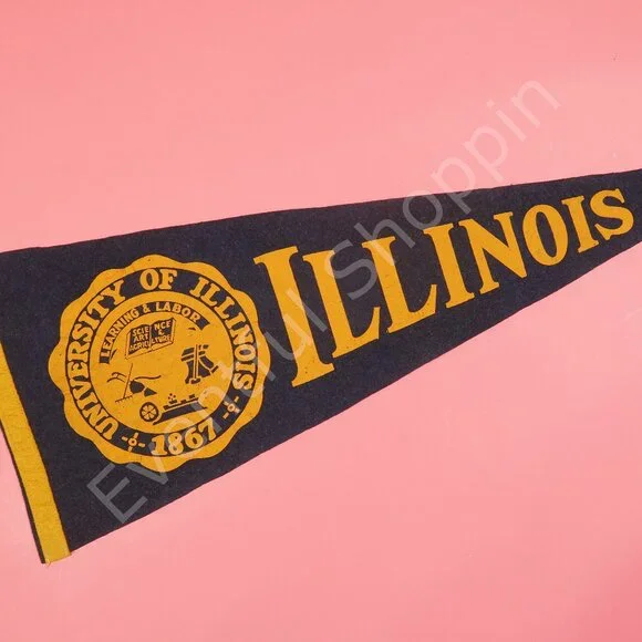 Vintage University of Illinois Pennant Blue Orange Felt 28