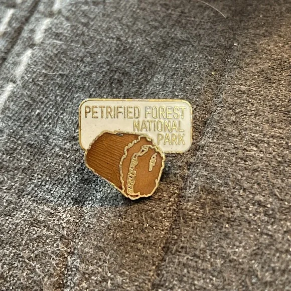 Petrified Forest National Park Arizona Souvenir Enamel Lapel Pin