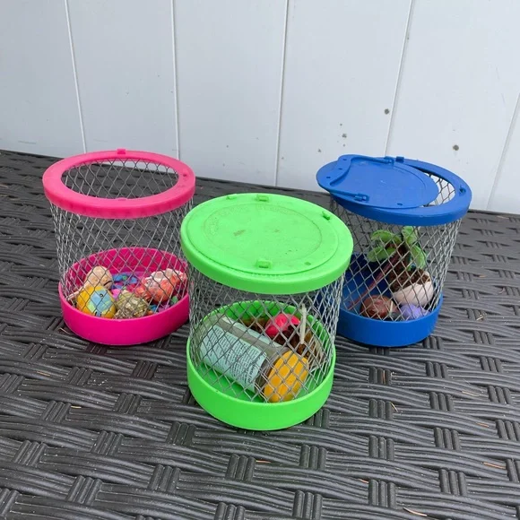 Hermit crab cages with extra shells for crab