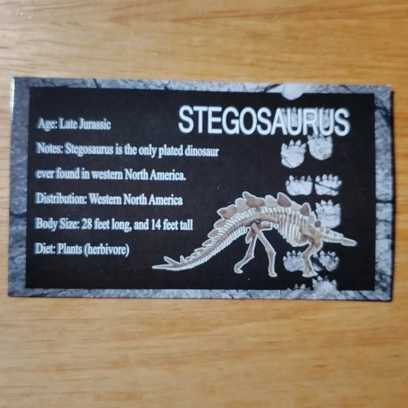 Stegosaurus Reptile Habitat Decor - Black