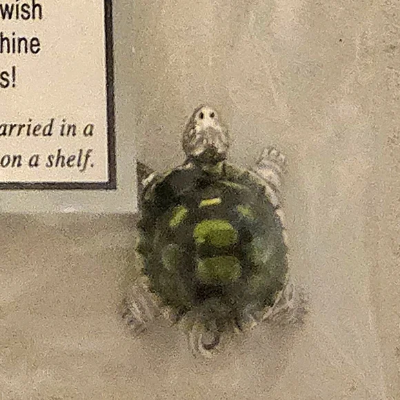 GANZ Green and Gray Turtle Ornament