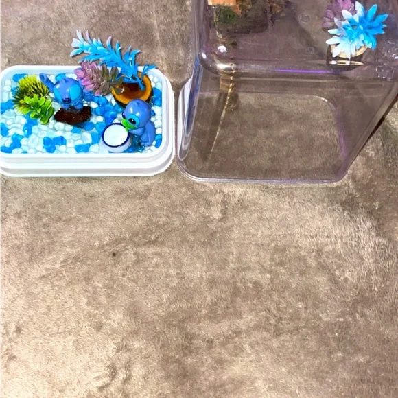 Custom jumping spiders enclosure