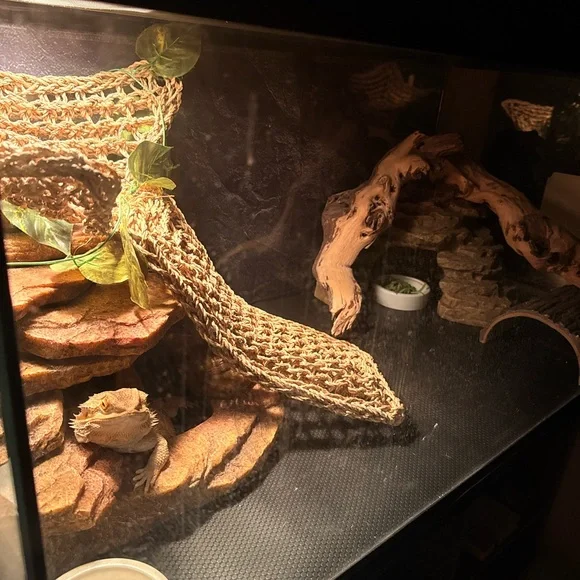 Natural Tan Reptile Habitat Decor