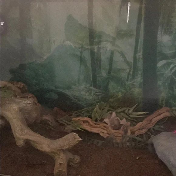 Brown and Tan Reptile Habitat Decor