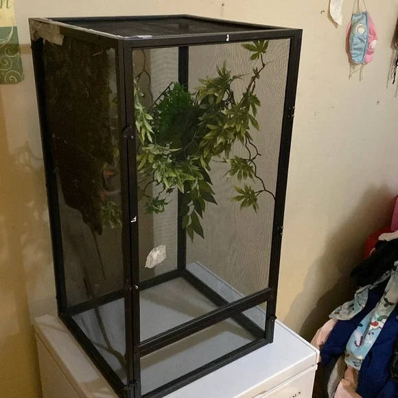 Reptile terrarium