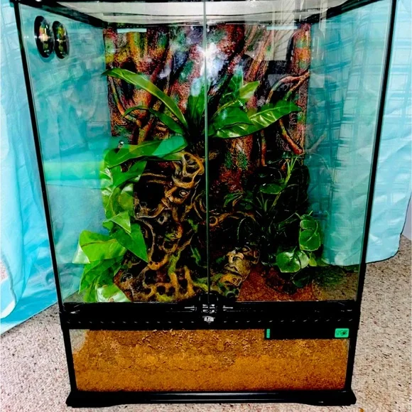 Reptile tank