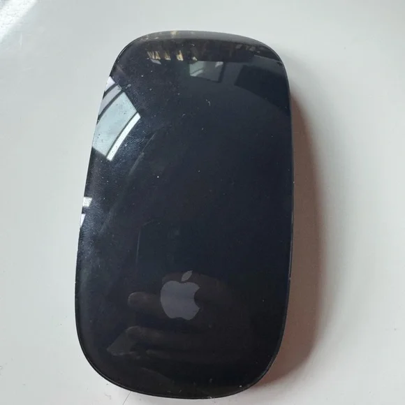 Apple Sleek Black Mouse