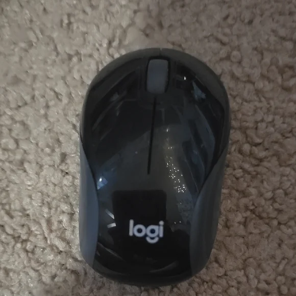 Logitech Black Mini Wireless Mouse