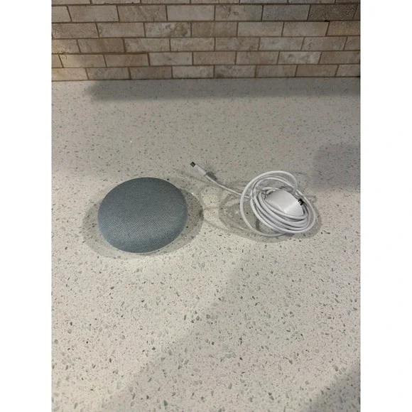 Google‎ Home Mini HOA Smart Speaker